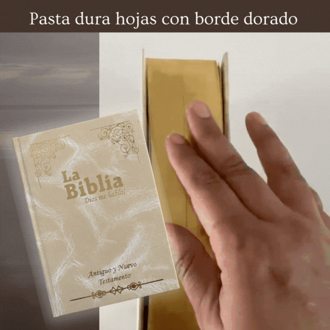 Biblias adultos