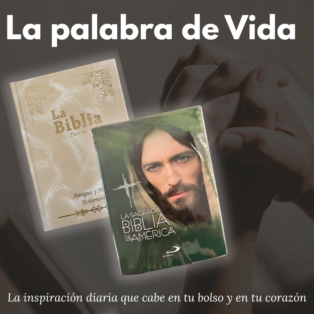 Biblias adultos