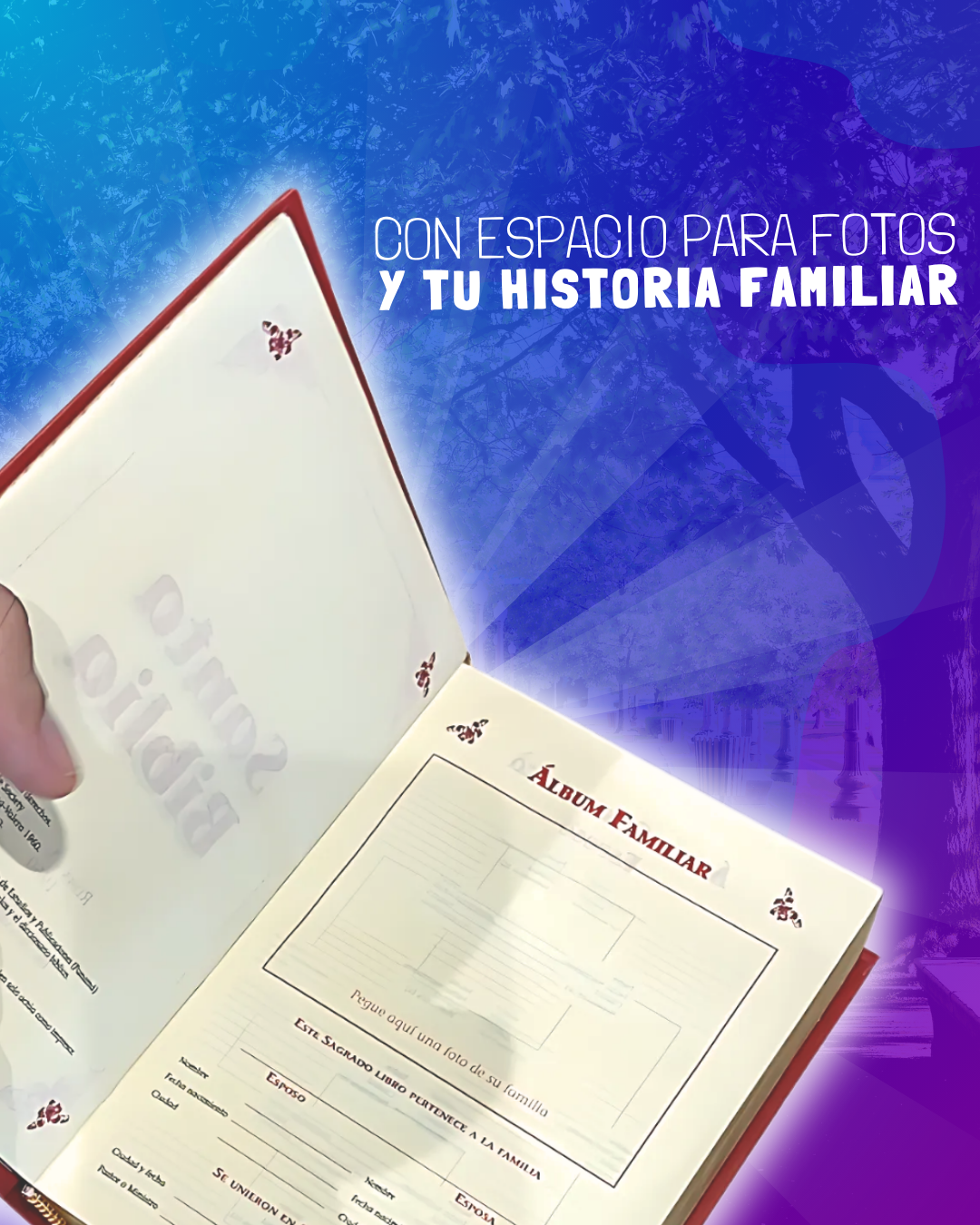 BIBLIA REINA VALERA 1960