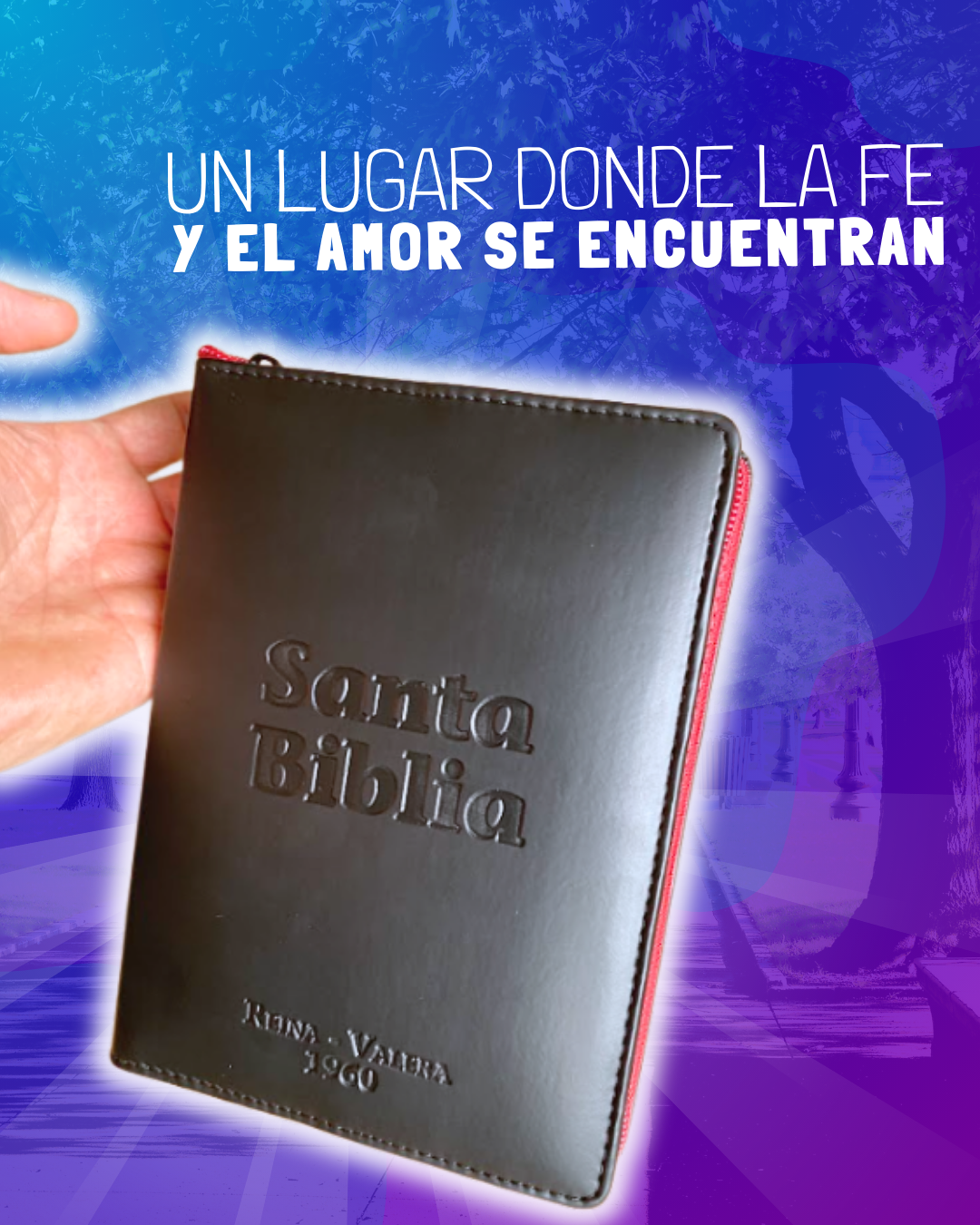 BIBLIA REINA VALERA 1960