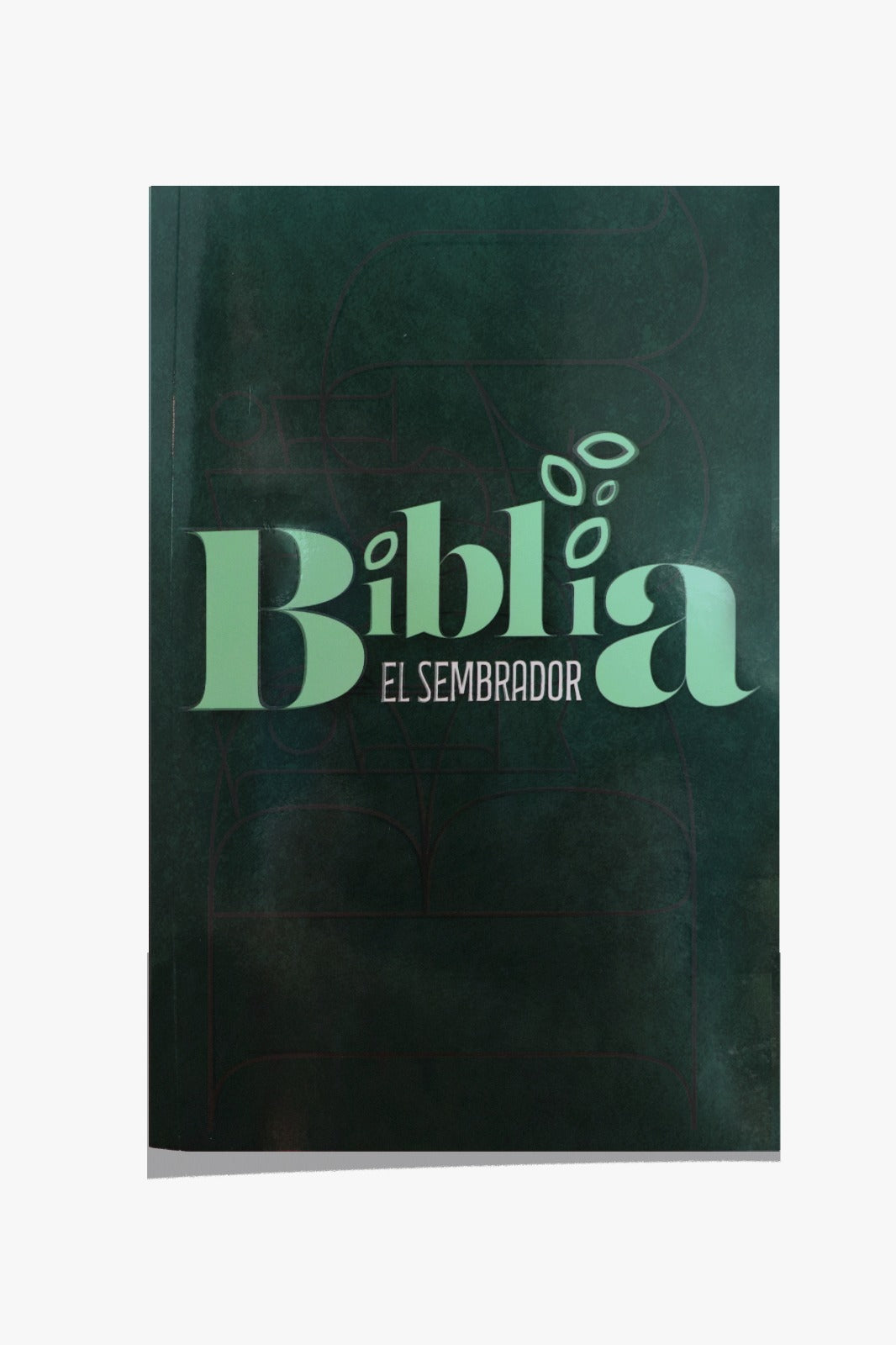 Biblia misionera RVC